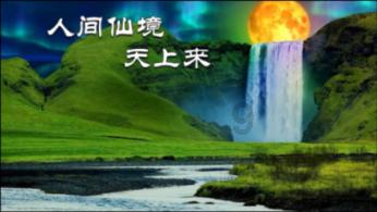 救援小孔雀