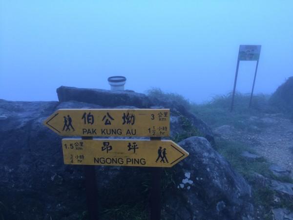 三小只僵尸的游戏时间6